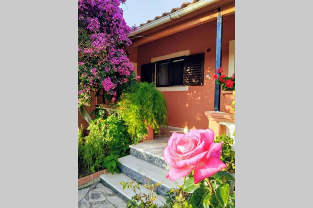Rose Garden Vila Melíkia Exterior foto